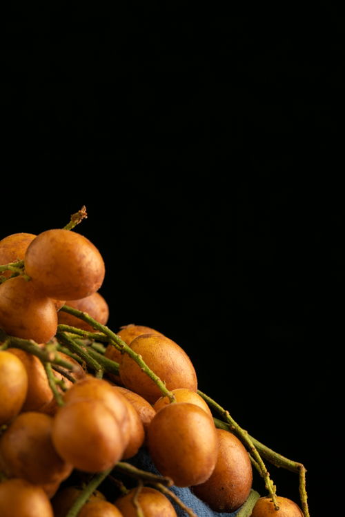黄皮果特产夏季水果美食摄影图 摄影