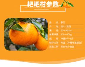 四川春见耙耙柑新鲜水果精品4枚装 1月20日后发货