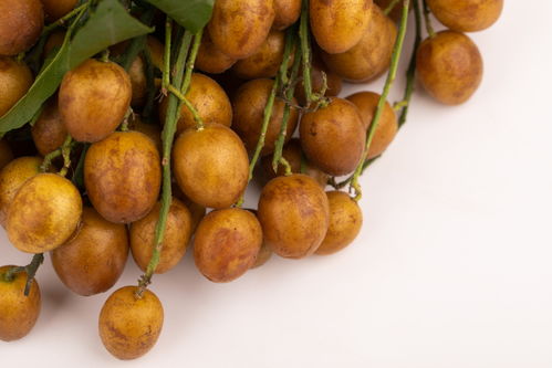 小黄皮黄皮果特产夏季水果美食摄影图 摄影