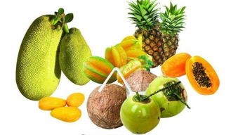 攒劲 兰州人今后只需一天就能吃到东南亚新鲜水果