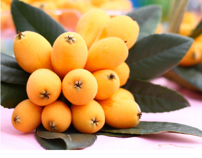 生活小窍门:强效减肥水果,十大水果“吸干”全身油