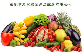 深圳宝安机场生鲜配送厂家 欢迎了解