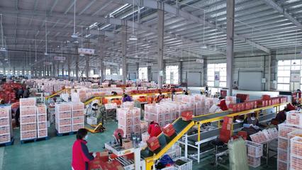 农业农村部领导莅临辰颐物语秭归产业园考察