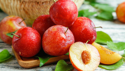 双华李和三华李区别