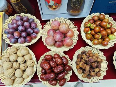 八方宾朋齐聚 共享林果盛宴--第九届新疆特色果品(阿克苏)交易会侧记