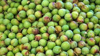 怀孕 文章列表 快速问医生