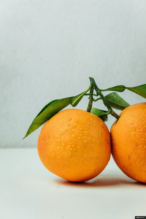 食品 水果 橙色 柑橘类水果 植物 葡萄柚 美食摄影图片图片壁纸 美食摄影图片图片壁纸