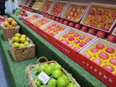 关公故里举办果业盛会 两千果品汇集山西万荣