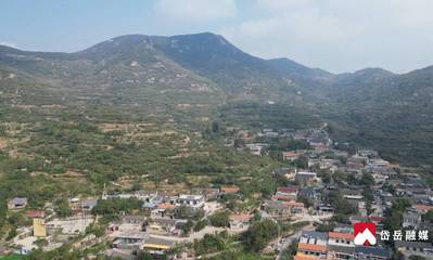 岱岳区人民政府 产业讯息 岱岳区道朗镇:发展林果经济 扮靓美丽乡村