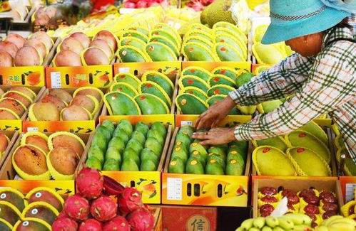 要返程啦 这些三亚特产店地址 出行和天气信息对你有用