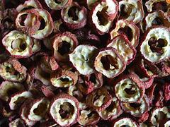 金丰干鲜果品-知名的山楂干供应厂家--倾销山楂干批发图片|金丰干鲜果品-知名的山楂干供应厂家--倾销山楂干批发产品图片由青州 干鲜果品公司生产提供-