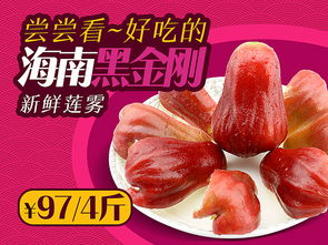 钻展图 banner 直通车广告 农副产品海南水果生鲜芒果秋葵莲雾圣女果 洗发水护发美发 内蒙羊肉串