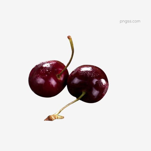 两颗美味的车厘子图片大小2000x2000px 图片尺寸1.27 mb 来自png搜索网 pngss.com 免费免扣png素材下载 车厘子 大樱桃 红色 两颗车厘子 两颗樱桃 美食 食品 蔬果 水果 新鲜 新鲜的 樱桃