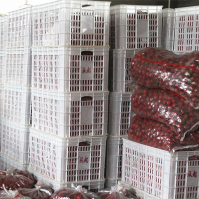 【莱芜山楂日晒脚心片/山东临沂奇宏果品】莱芜山楂日晒脚心片/山东临沂奇宏果品批发价格,厂家,图片,山东平邑奇宏果品专业合作社 -