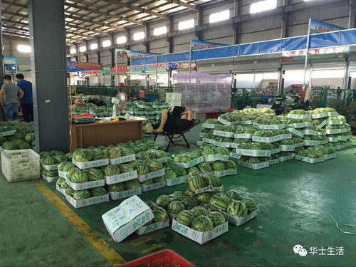 万众期待,终于等到你 华西农副产品交易中心 水果区9月18日即将盛大开业