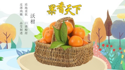 成都褚橙果品 成都褚橙 红彝果业