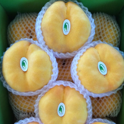 威海市文登区勾勾吉果品专业合作社