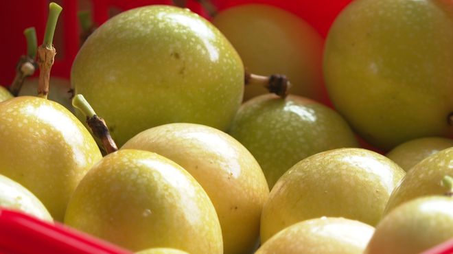 龙川:百香果果丰味甜,“线上+线下”串起致富路!