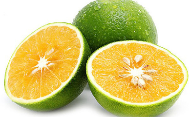 商标侵权:海南名果品频遭“冒牌”