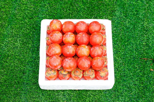 新鲜腊菜图片素材下载 食品餐饮素材下的蔬菜水果图片素材 汇图网