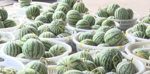 用非遗为家乡带货，他有个1亿元的果品小目标