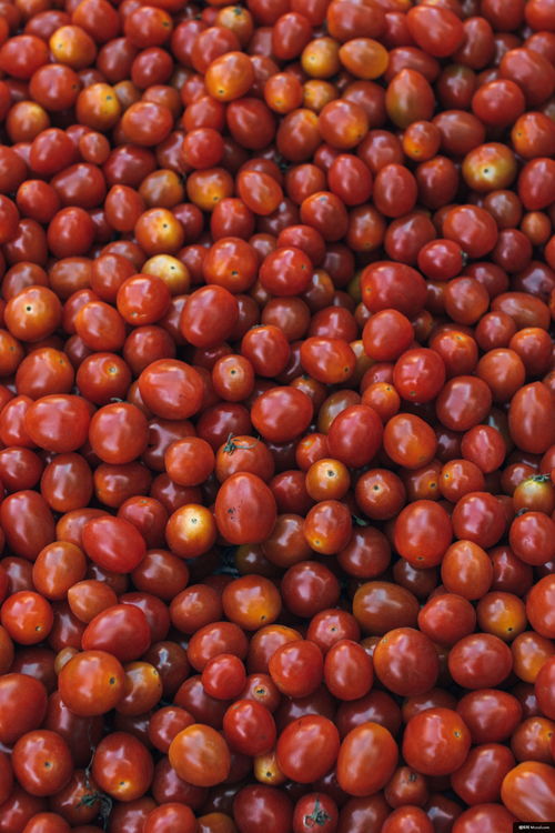 蔬菜 水果 樱桃 食品 番茄 樱桃番茄 美食摄影图片图片壁纸 美食摄影图片图片壁纸