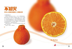 果业公司画册设计与印刷定制 打造专业果品宣传与招商平台